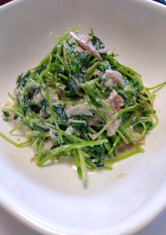 豆苗とツナと塩昆布のマヨサラダ
